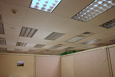 Ooooh! Cubicle!
