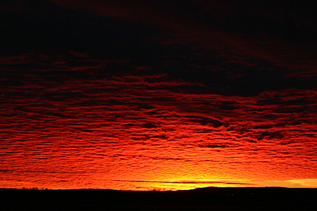 Rising Sun