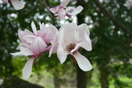 spring has sprung