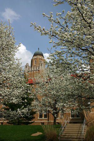 spring has sprung