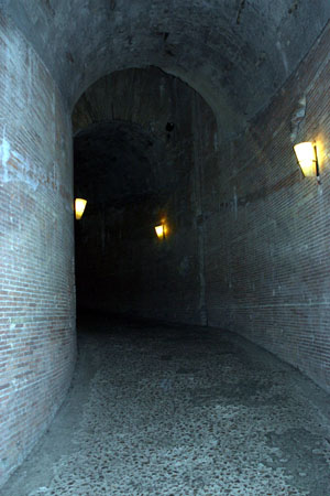 IMG_8460