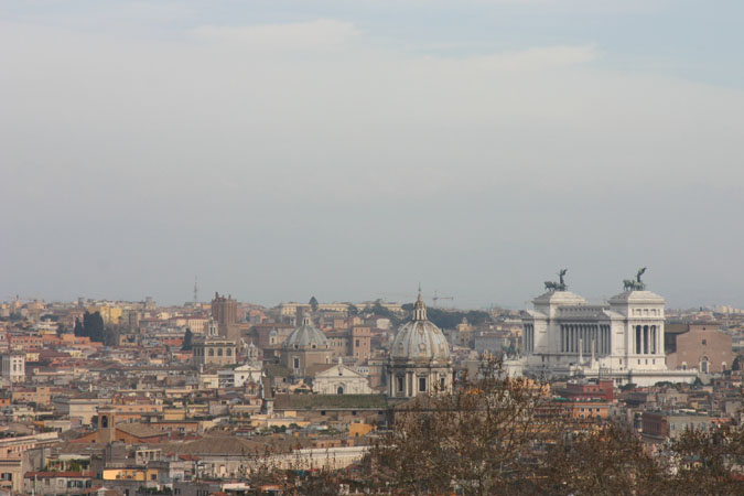 IMG_8557